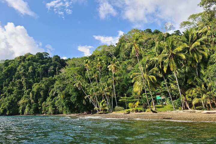 3 Days Kayak & Camping Excursionon in Golfo Dulce  - Photo 1 of 25